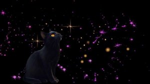 Звездная красота