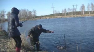Весенняя рыбалка на крупного Язя!