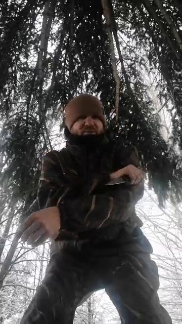 Философия дня