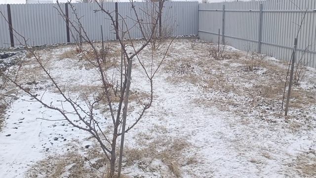 19 апреля. Сибирь. Зима не отступает.