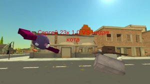 Сергей 23к 1.0 VS нидзи кота