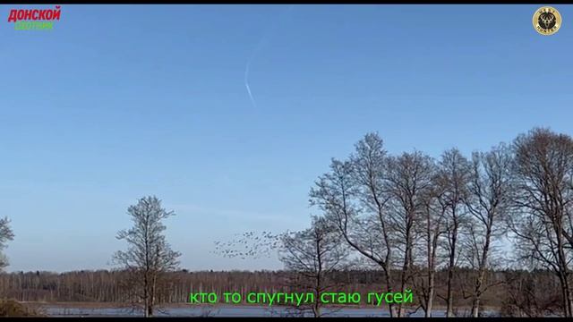 Охота на гуся - кто то спугнул стаю гусей