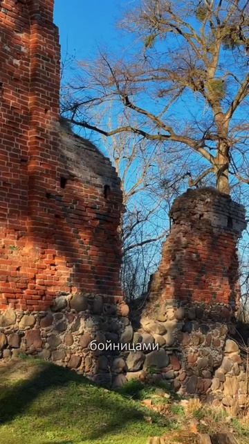 Замок Заалау