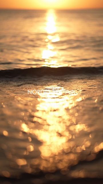 Весна – мягкое солнце, теплый ветер, пение птиц все чаще разбавляет шум морских волн.