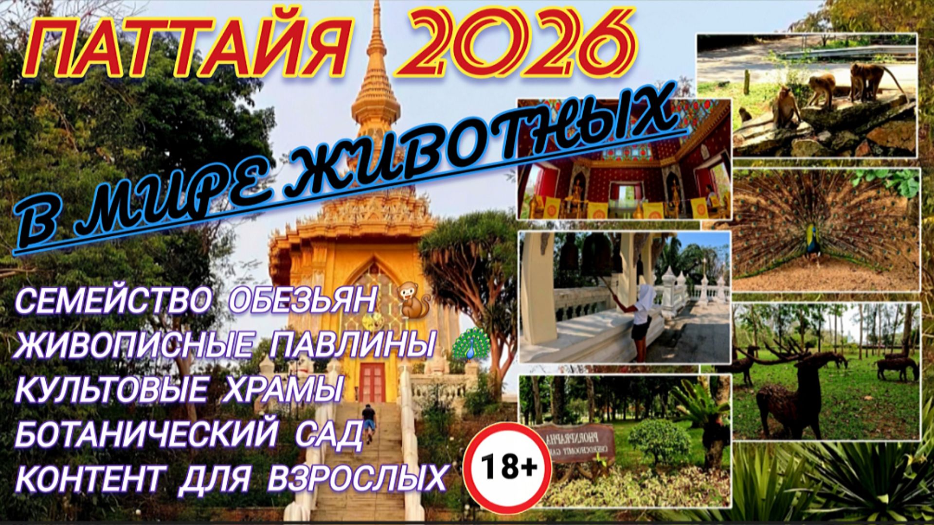 ПАТТАЙЯ. МЕСТНЫЕ ДОСТОПРИМЕЧАТЕЛЬНОСТИ. ОБЕЗЬЯНЫ 🦧, ПАВЛИНЫ 🦚, ХРАМЫ, БОТАНИЧЕСКИЙ САД. 2026г
