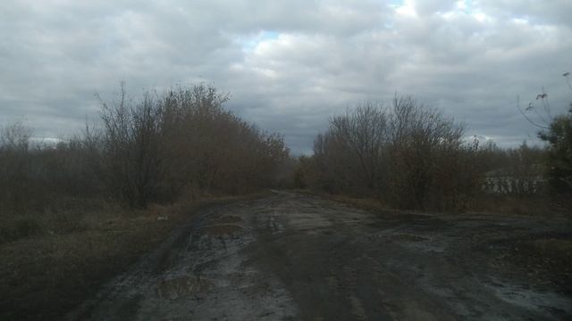 Посёлок Шебалов, Аркадакский район.