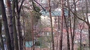 Многолетняя мусорная свалка в Курортной зоне Кисловодска! 17.04.2026 г. Возле санатория им. Горького