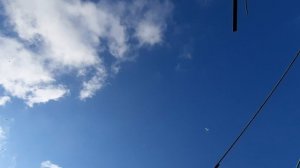 20.04.26 г. Андижанская порода голубей (1)