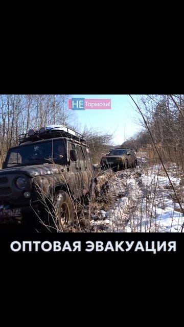 ГАЗ 66 спасает джиперов на бездорожье #газ66 #шишига