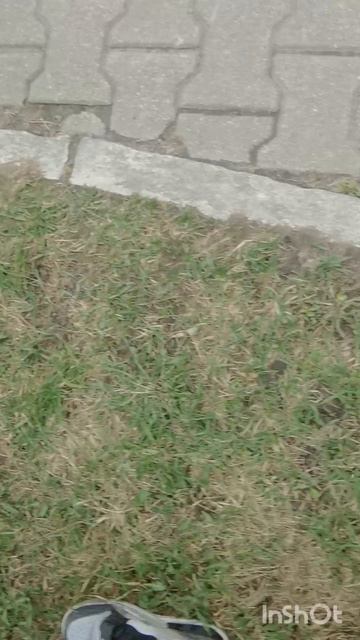 воскресенье ужасный день.