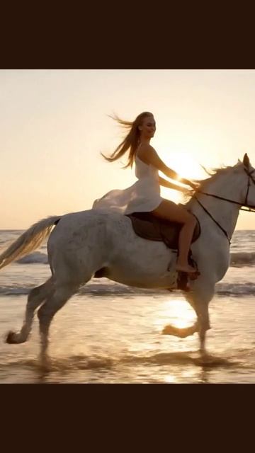 #лошадь #конныеприключения #лошадипоходы #конныйспорт #коннаяпередача