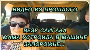 САМВЕЛ АДАМЯН, ПО ПРОСЬБАМ ЗРИТЕЛЕЙ, ВЕЗЕМ САЙГАКА, МАМА УСТРОИЛА В МАШИНЕ, ЗАПОРОЖЬЕ..