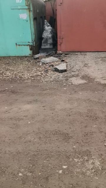 Андрюха у нас труп ,похоже криминал,по коням