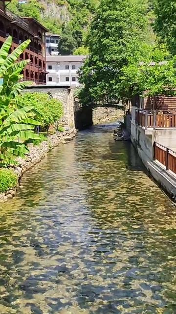 Ностальгия по Абхазии