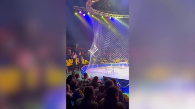 В ростовском цирке тигр выпрыгнул с арены в зрительный зал