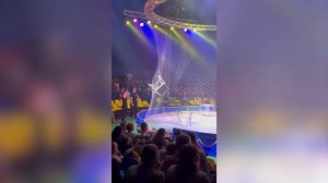 В ростовском цирке тигр выпрыгнул с арены в зрительный зал