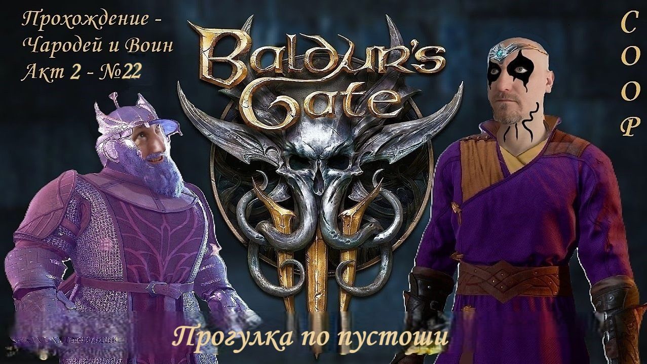 Baldurs Gate 3 - Чародей и Воин акт2 - Прогулка по пустоши  #22 - Coop