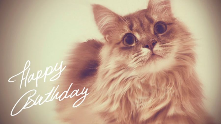 Pragmata (PS5 Pro) - серия 5 - Коко говорит