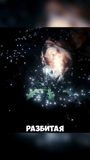 🍿 Король хотел казнить мужчину, но он занял его место...