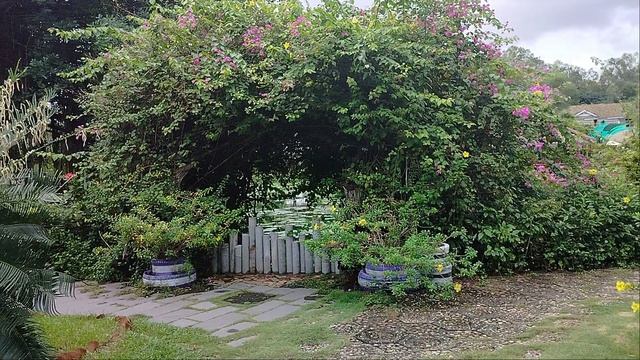 Флора на горячих источниках!