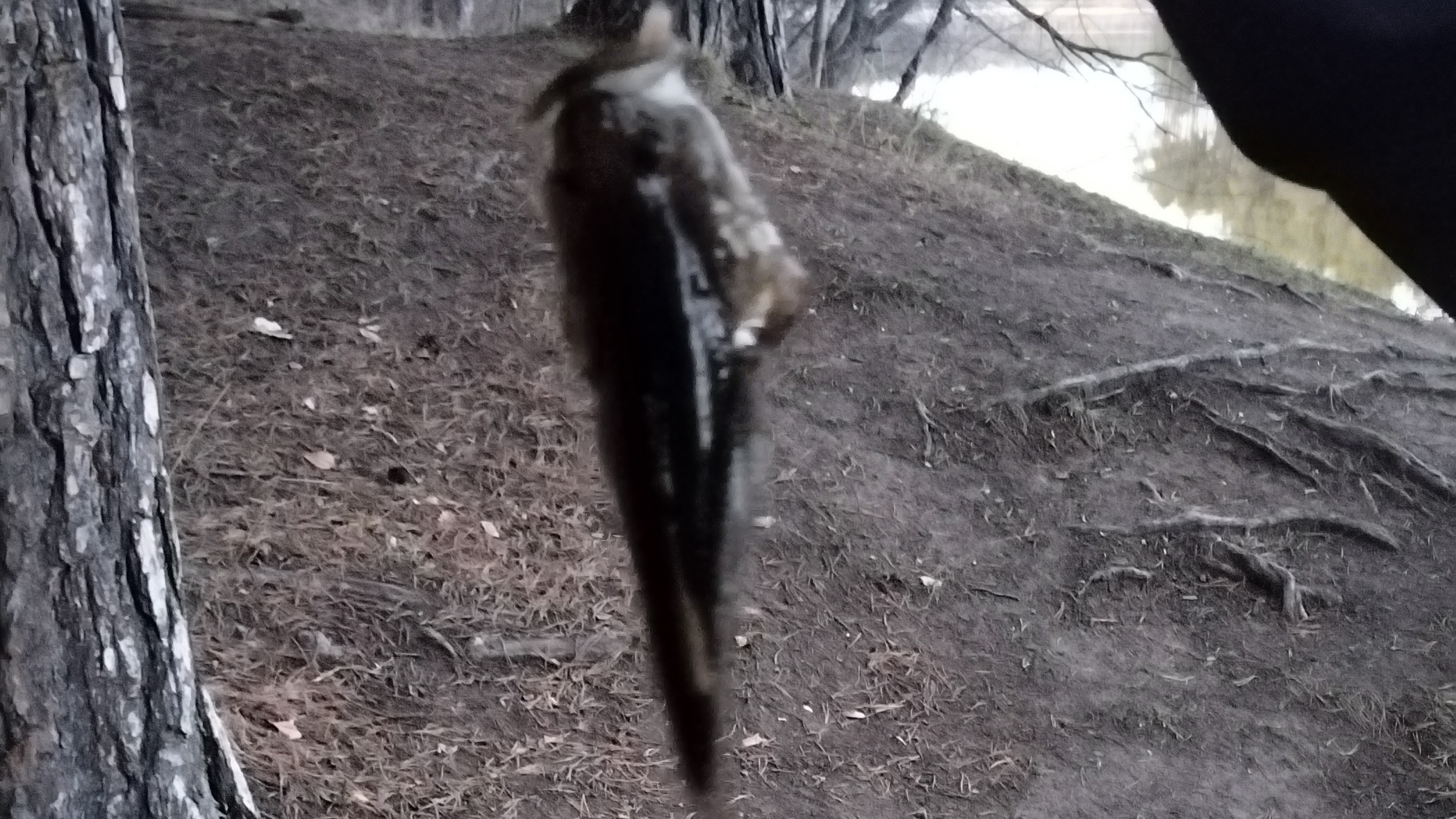 Математика четвёртый класс страница 63 номер 252 домашнее задание делаю