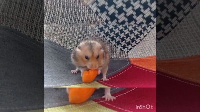 ЗАПОМНИТЕ ЭТО РАЗ И НАВСЕГДА 2 серия