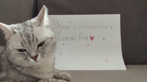 СПАСИБО ВАМ БОЛЬШОЕ Я ОЧЕНЬ РАД🐱🐱🐱