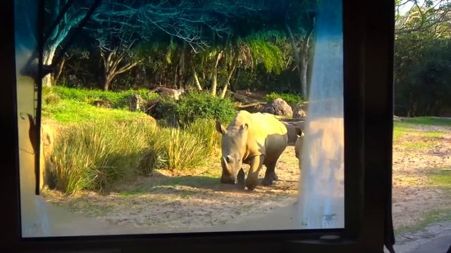 Настя в парке развлечений находит новых друзей