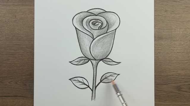 Как очень легко нарисовать розу шаг за шагом карандашом