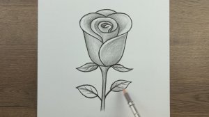 Как очень легко нарисовать розу шаг за шагом карандашом