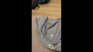 Маша и Медведь Раз два три ёлочка гори 3 серия