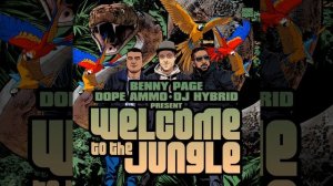 Welcome To The Jungle (Continuous DJ Mix)_1080p