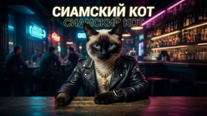 Сиамский кот - Сиамский кот