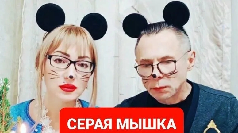 Серая мышка , какая она🤗