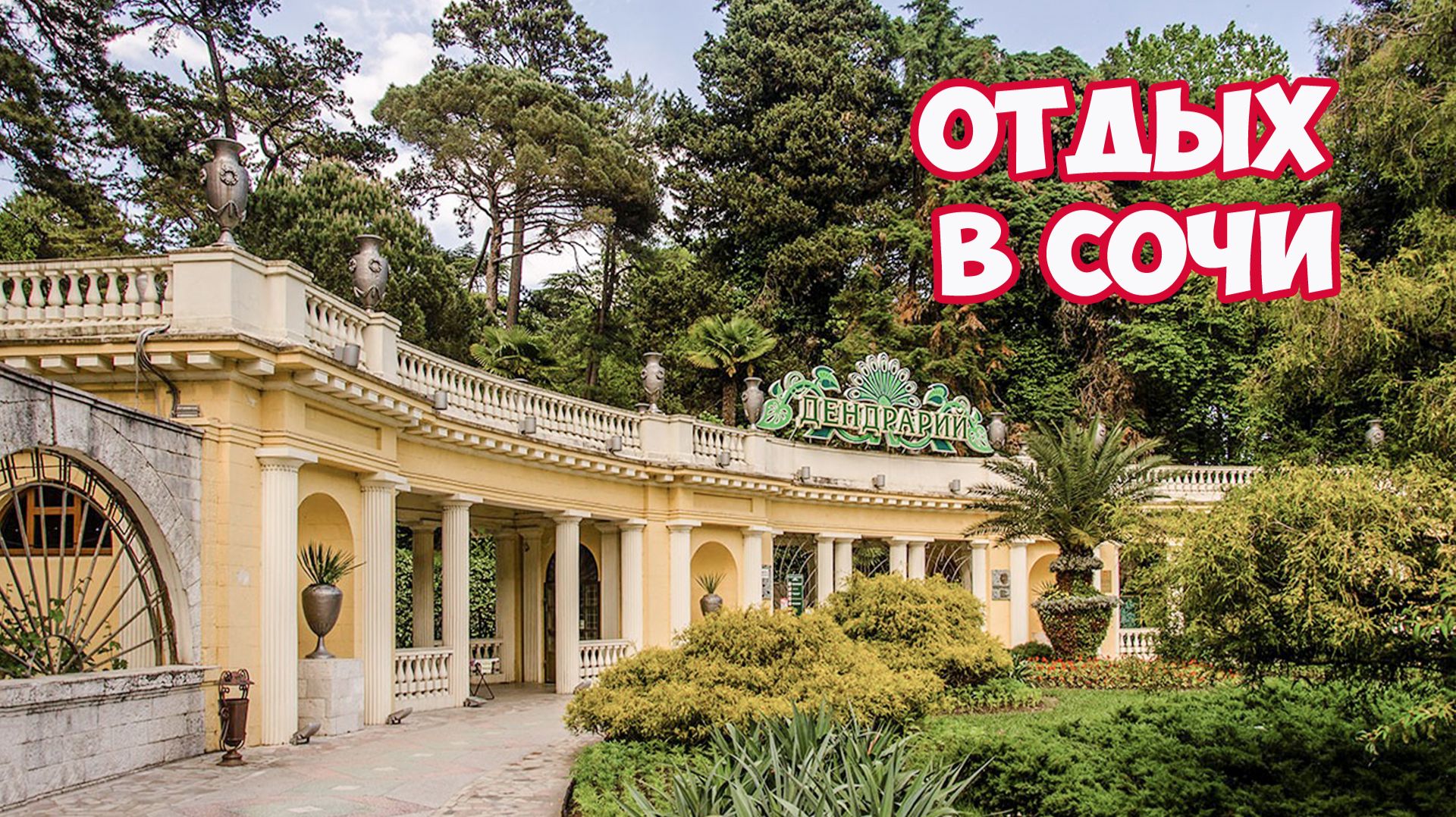 Сочи. Дендрарий в Сочи. Прогулка по набережной Сочи до Морского вокзала. Отдых в Сочи
