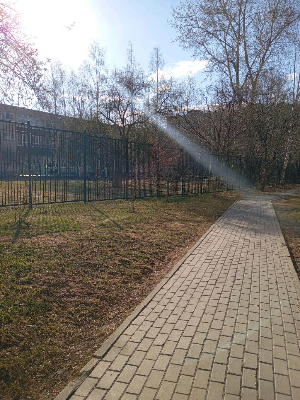 В гостях у Мику).