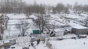 Вчера ходил в лес по грибы 🍄 видео выложу завтра или послезавтра, а сегодня у нас настоящая зима ❄️