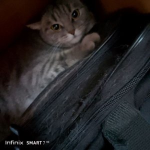 что в моём портфеле? 📒