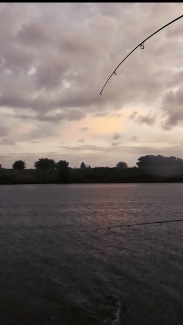 Сам смог вытащить такого