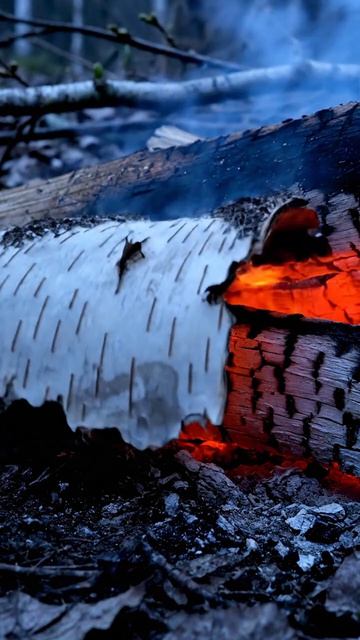 Когда сырость не гасит, а открывает жар