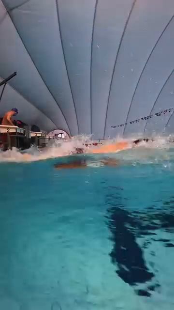 -5386151526154949626