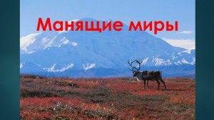 Онлайн-путешествие "Манящие миры" - к Дню коренных малочисленных народов России