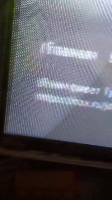 🍉❤️❤️❤️❤️