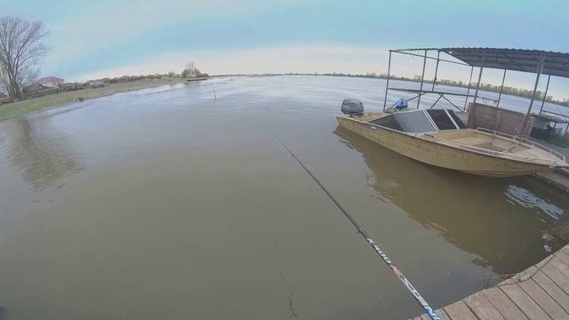 Рыбалка в Астраханской области Апрель 2026г, бешеный клев рыбы