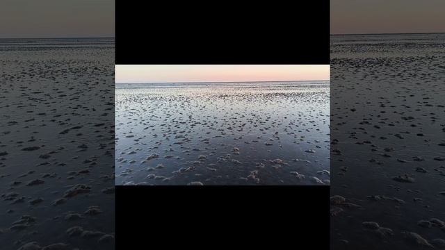 Прогулка по дну Охотского моря возле п. Эвенск Магаданской области.