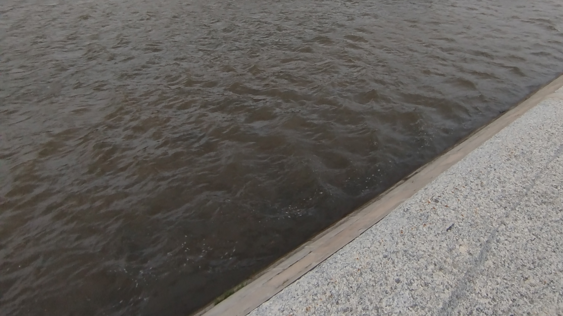 Киллер раки топ!!ловил и буду ловить рыбу