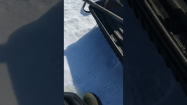 Открытие сезона 2026!