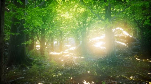 Весна, весеннее пробуждение, приятная и нежная музыка для отдыха