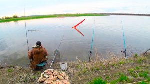 ЗВЕРЮГА РВЕТ ФРИКЦИОН! Бобер Борис в шоке и БЕШЕНАЯ РЫБАЛКА на карася на поплавок