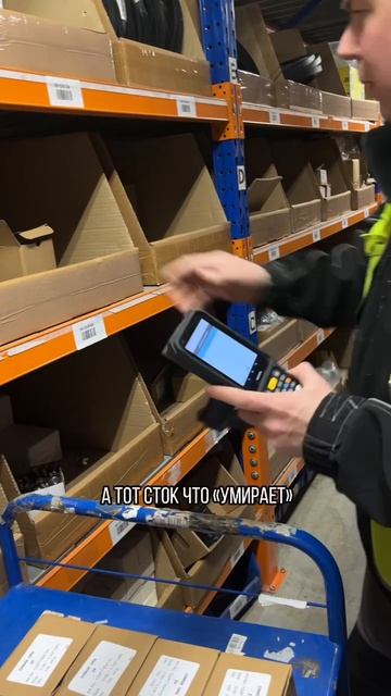 Хаос или система?